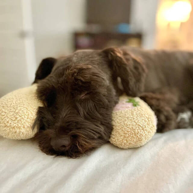 RestfulPaws™ Calming Pillow