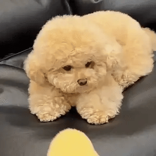 RestfulPaws™ Calming Pillow